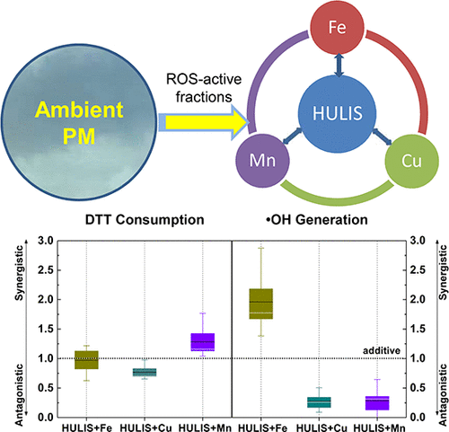 Synergistic & Antagonistic Interactions of Particulate Matter Components